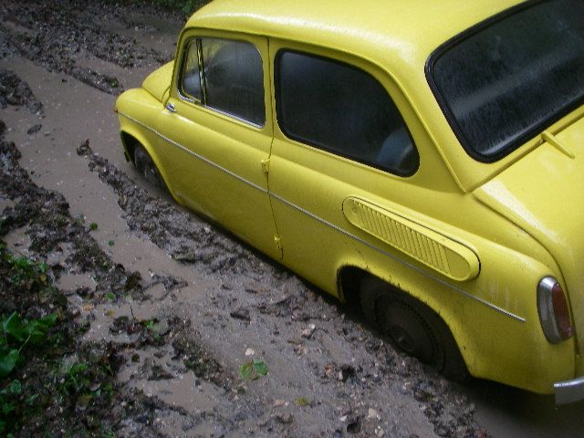 Image Image